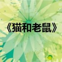 《猫和老鼠》中的泰菲老鼠是公的还是母的？