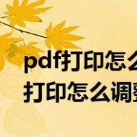 pdf打印怎么调整大小打印在一张纸上（pdf打印怎么调整大小）