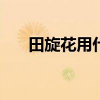 田旋花用什么除草剂能除去（田旋花）