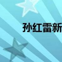 孙红雷新剧扫黑风暴（孙红雷微微）