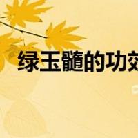 绿玉髓的功效与作用（玉髓的功效与作用）