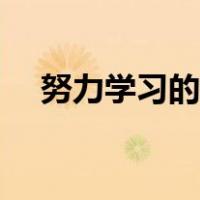 努力学习的壁纸图片（努力学习的壁纸）