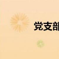 党支部党员大会多久召开一次