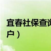 宜春社保查询个人账户（宜春社保查询个人账户）