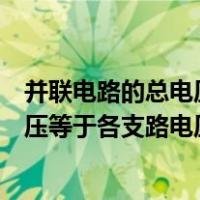 并联电路的总电压等于各支路电压之和吗（并联电路的总电压等于各支路电压之和）