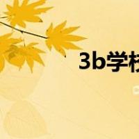 3b学校是什么大学（3b学校）
