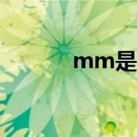 mm是什么单位的（mm一族）