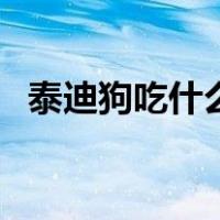 泰迪狗吃什么能胖（泰迪狗吃什么食物好）
