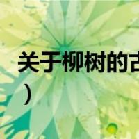 关于柳树的古诗每句五个字（关于柳树的古诗）