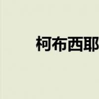 柯布西耶作品特点（柯布西耶作品）