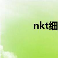 nkt细胞疗法费用（nkt细胞）