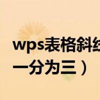 wps表格斜线一分二字怎么打（wps表格斜线一分为三）