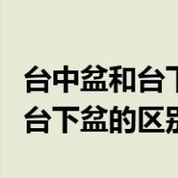 台中盆和台下盆还有台上盆哪个好（台中盆和台下盆的区别）