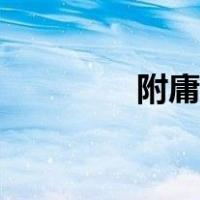 附庸的意思（附庸的意思）