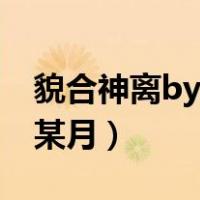 貌合神离by某年某月小说（貌合神离by某年某月）