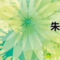 朱由榔简介（朱由榔）