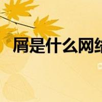 屑是什么网络用语怎么读（屑是什么意思）