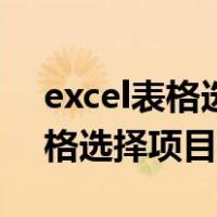 excel表格选择多个选项怎么设置（excel表格选择项目）