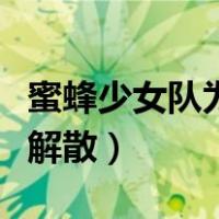 蜜蜂少女队为什么解散了（蜜蜂少女队为什么解散）