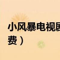 小风暴电视剧全剧高清（小风暴电视剧全集免费）