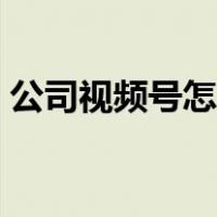 公司视频号怎么运营（公司视频号怎么开通）