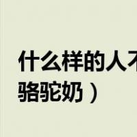 什么样的人不适合喝骆驼奶（什么人不适合喝骆驼奶）
