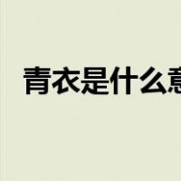 青衣是什么意思和含义（青衣是什么意思）