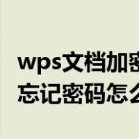 wps文档加密忘记密码怎么办（wps文档加密忘记密码怎么办）