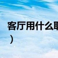 客厅用什么取暖设备好（客厅用什么取暖器好）