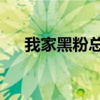 我家黑粉总在线txt（我家黑粉总在线）