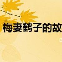 梅妻鹤子的故事是谁写的（梅妻鹤子的故事）