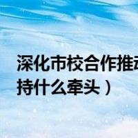 深化市校合作推动产学研深度融合（推进产学研深度融合支持什么牵头）