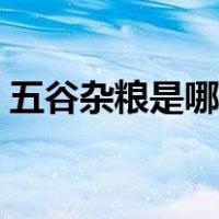 五谷杂粮是哪几种食物（五谷杂粮是哪几种）