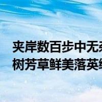 夹岸数百步中无杂树芳草鲜美落英缤纷（夹岸数百步中无杂树芳草鲜美落英缤纷）