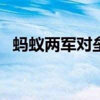 蚂蚁两军对垒是什么场景（蚂蚁两军对垒）