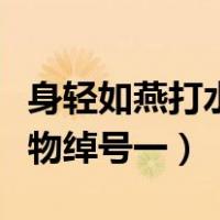 身轻如燕打水浒传人物（身轻如燕打水浒传人物绰号一）