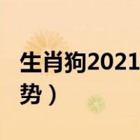 生肖狗2021年运势及运程（生肖狗2021年运势）