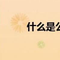 什么是公主病（什么是公允价值）