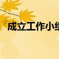 成立工作小组文案（成立工作小组的通知）