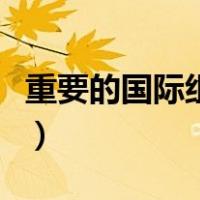 重要的国际组织旗帜（重要的国际组织有哪些）