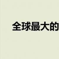 全球最大的熊类品种（全球最大的熊类）