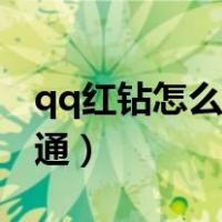 qq红钻怎么不能充值了（qq红钻怎么不能开通）