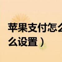 苹果支付怎么设置在右侧按两下（苹果支付怎么设置）