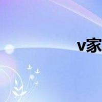 v家族成员（v家四美男）