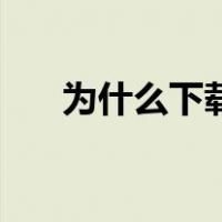 为什么下载谷歌Chrome打不开网页？