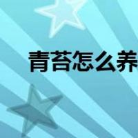 青苔怎么养才茂盛小妙招（青苔怎么养）