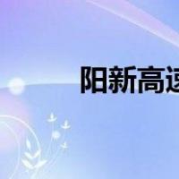 阳新高速精确线路图（阳新高速）