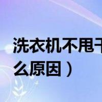 洗衣机不甩干是什么问题（洗衣机不甩干是什么原因）