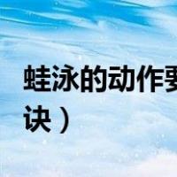 蛙泳的动作要领是什么（蛙泳的动作要领及口诀）