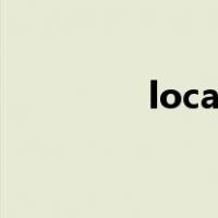 localbridge exe参数错误